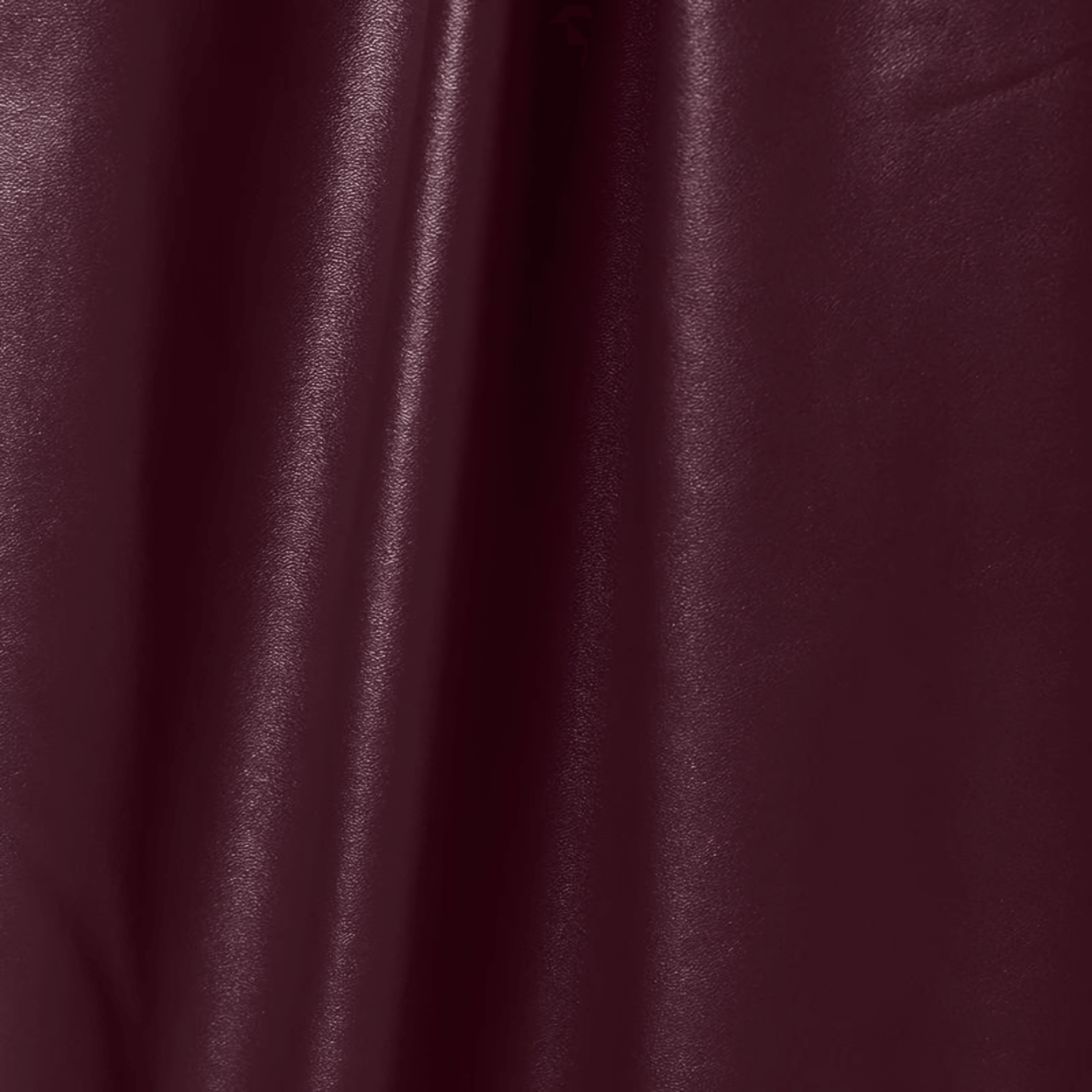 Pantalon Neural