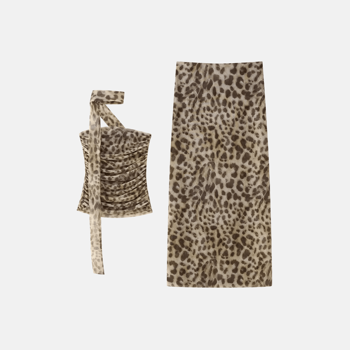 Ensemble Lince