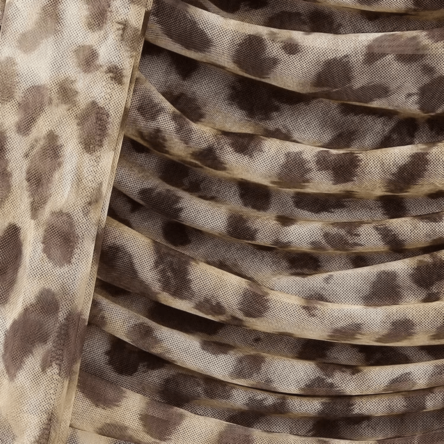 Ensemble Lince