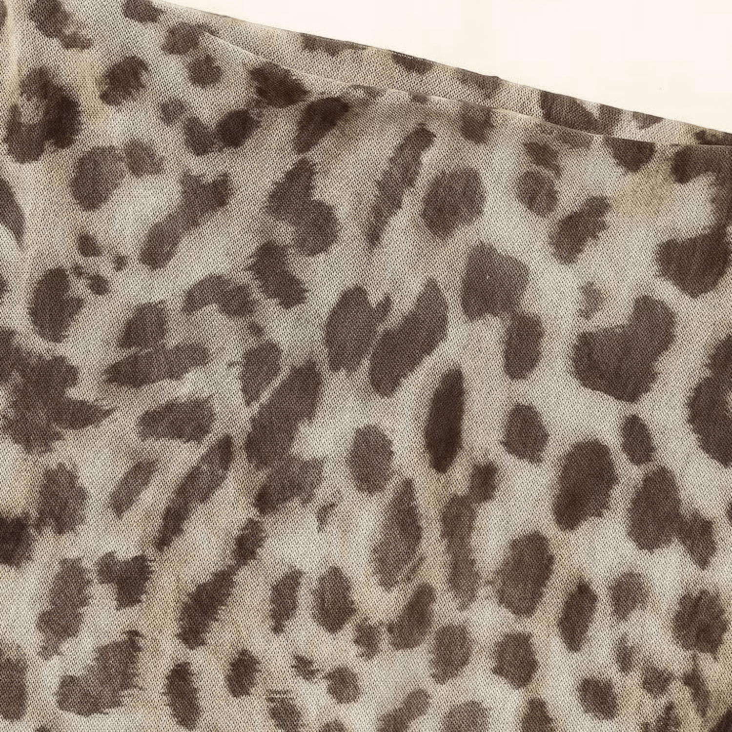 Ensemble Lince