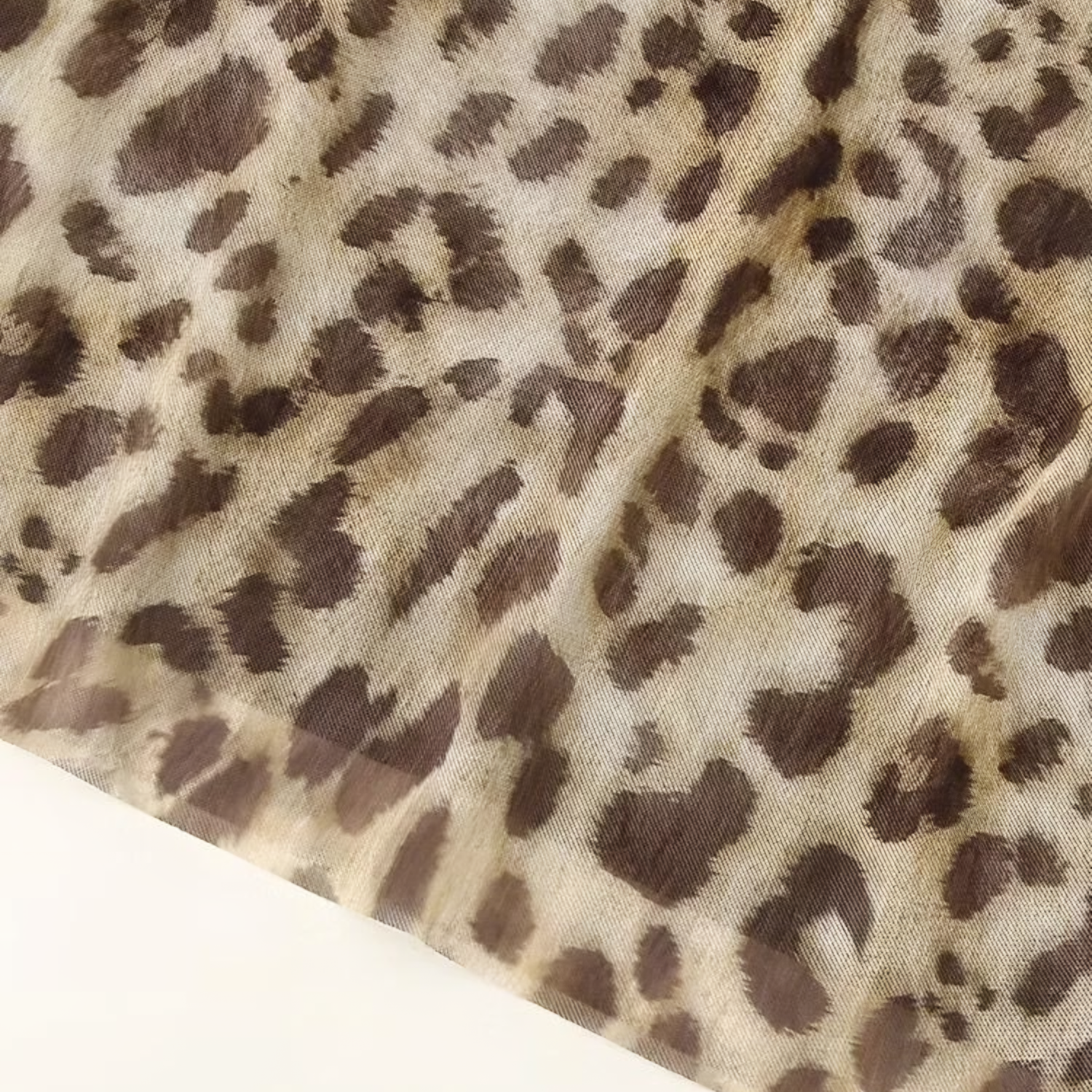 Ensemble Lince