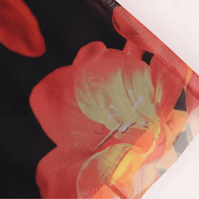 Robe Photosynthesis