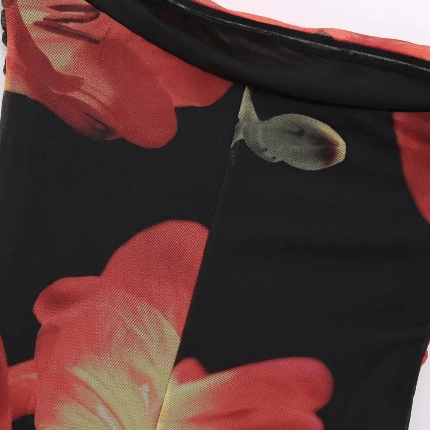 Robe Photosynthesis